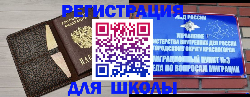 прописка в Мурманской области